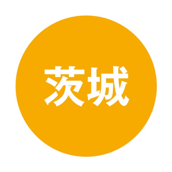 茨城県産 ポテトかいつか 焼き芋(紅天使)ギフトセット (お届け期間：11/11〜12/31)【冬ギフト・お歳暮】　商品画像4