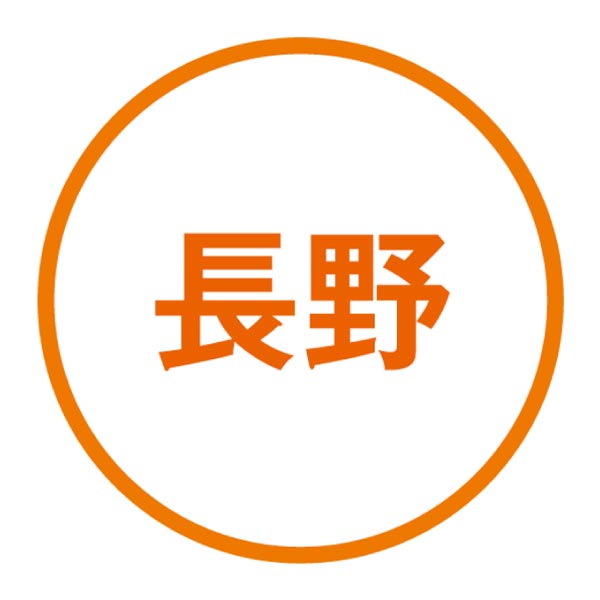 長野県産 りんご・なし詰合せ(サンふじ・ラフランス) (お届け期間：11/11〜12/10)【冬ギフト・お歳暮】　商品画像4