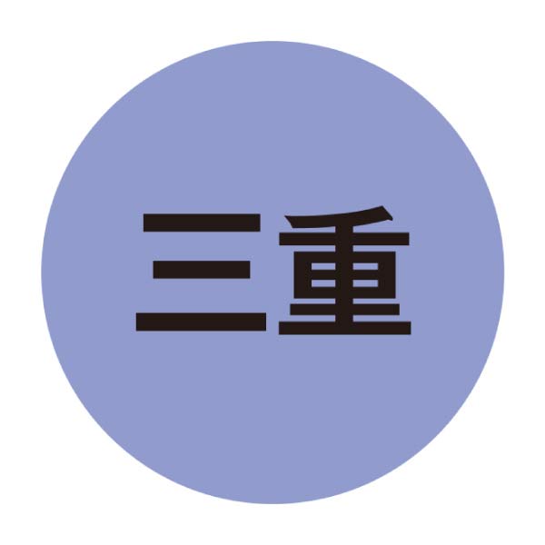 三重県産(農事組合法人 白鳳梨生産組合) 伊賀白鳳梨(幸水梨)秀品 5kg箱(お届け期間：8/6〜8/19)【夏の贈りもの・お中元】　商品画像4