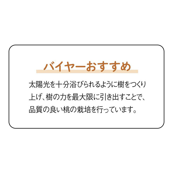 岡山県総社市産 総社の白桃化粧箱(お届け期間：6/25〜8/25)【夏の贈りもの・お中元】　商品画像4