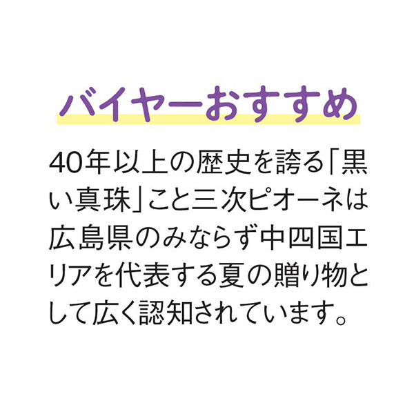 広島県三次市産 三次のピオーネ(お届け期間：7/15〜8/10)【夏の贈りもの・お中元】　商品画像4