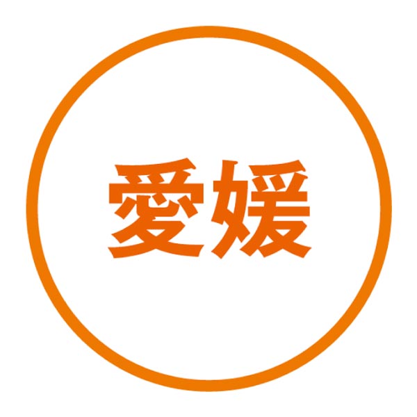 愛媛県産(JAにしうわ) 西宇和みかん (お届け期間：11/21〜12/28)【冬ギフト・お歳暮】　商品画像4