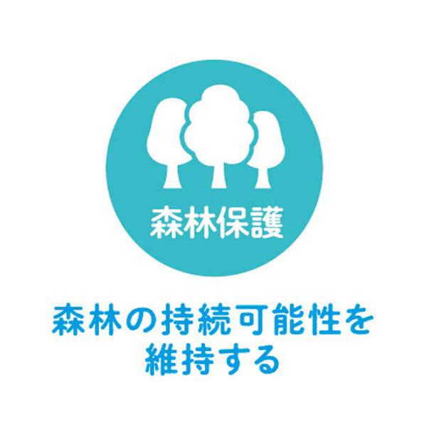 ハーモニック やさしいみらい さらり【夏の贈りもの・お中元】　商品画像4