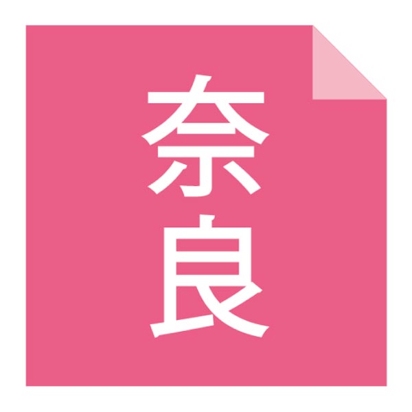 柿の葉ずし総本家平宗 冷凍 柿の葉ずし4種と棒ずし詰合せ【冬ギフト・お歳暮】　商品画像4