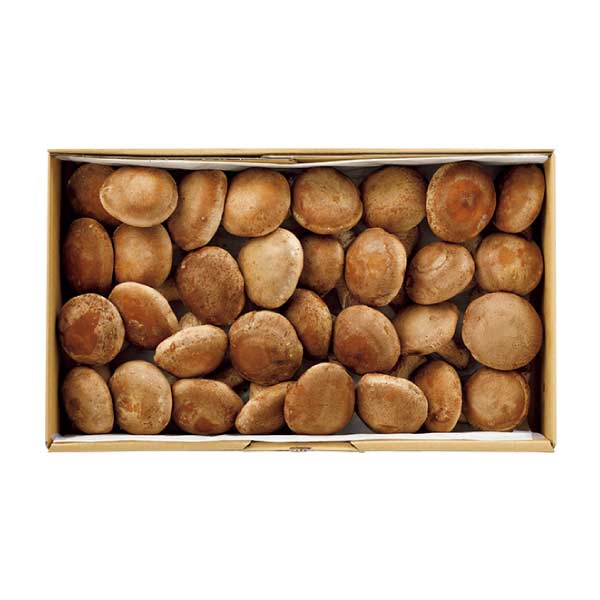 トップバリュ グリーンアイオーガニック 福島県産(いわき椎茸出荷組合)オーガニック生しいたけ(菌床栽培)ギフト 大【夏の贈りもの・お中元】　商品画像4