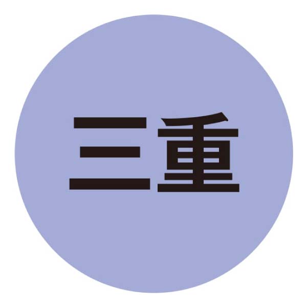 【伊勢】糀屋 糀ぷりん 3種10個詰合せ【冬の贈りもの・お歳暮】[3KLA10]　商品画像4