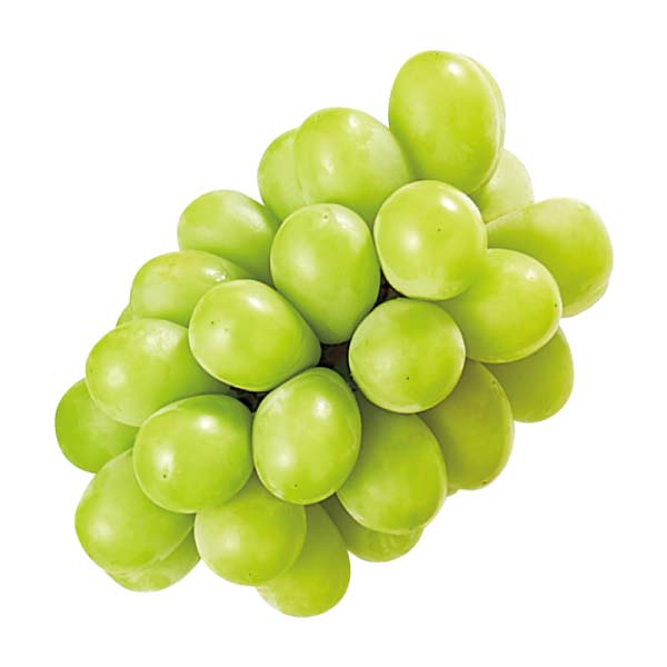 長野県産 冷蔵シャインマスカット(お届け期間：11/21〜12/20)【冬の贈りもの・お歳暮】　商品画像4