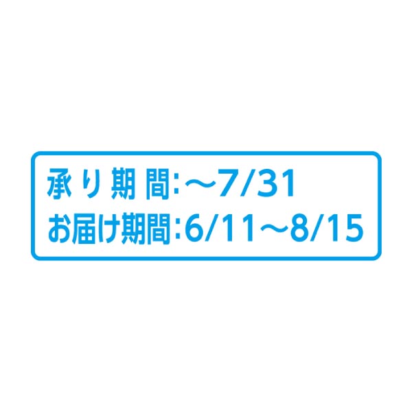 北海道夕張市産(JA夕張市) 夕張メロン 秀品3L(お届け期間：6/11〜8/15)【夏の贈りもの・お中元】　商品画像4