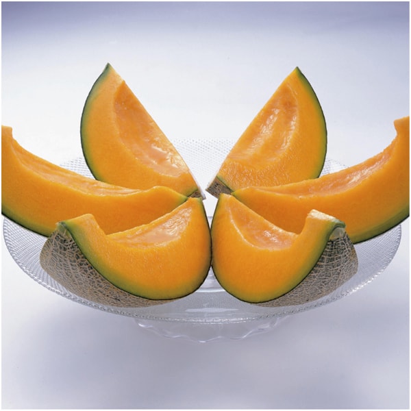 北海道産(JA夕張市) 夕張メロン 秀品3L1玉【父の日】　商品画像4