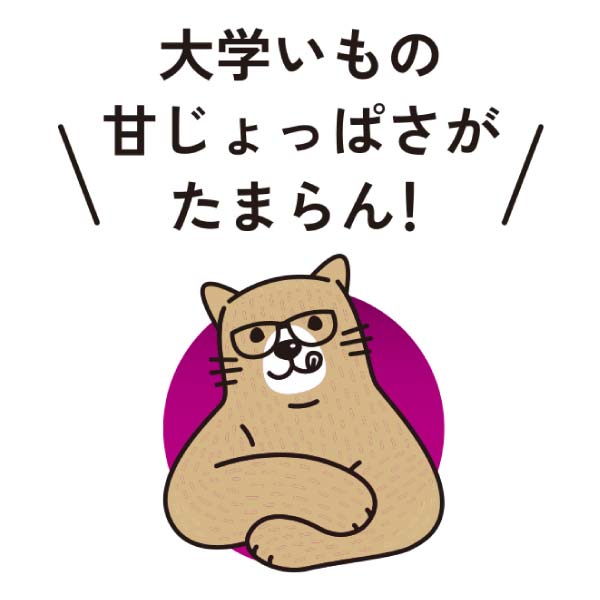 SAZANKA 熟成やきいもの大学いもと生ほしいもの食べくらべ800g【冬の贈りもの・お歳暮】　商品画像4