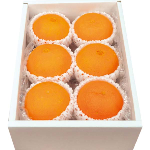 愛媛県産 紅まどんな(お届け期間：11/11〜12/28)【冬の贈りもの・お歳暮】　商品画像3