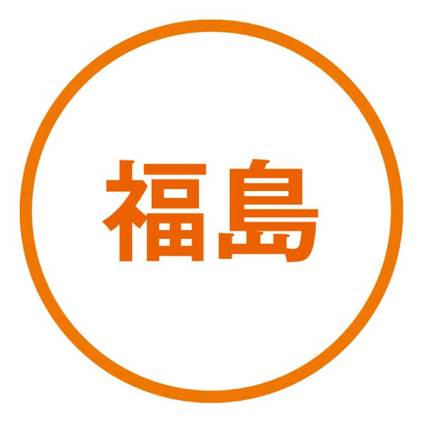 福島県産 光センサー選果、伊達の白桃(お届け期間：7/3〜8/25)【夏の贈りもの・お中元】　商品画像4