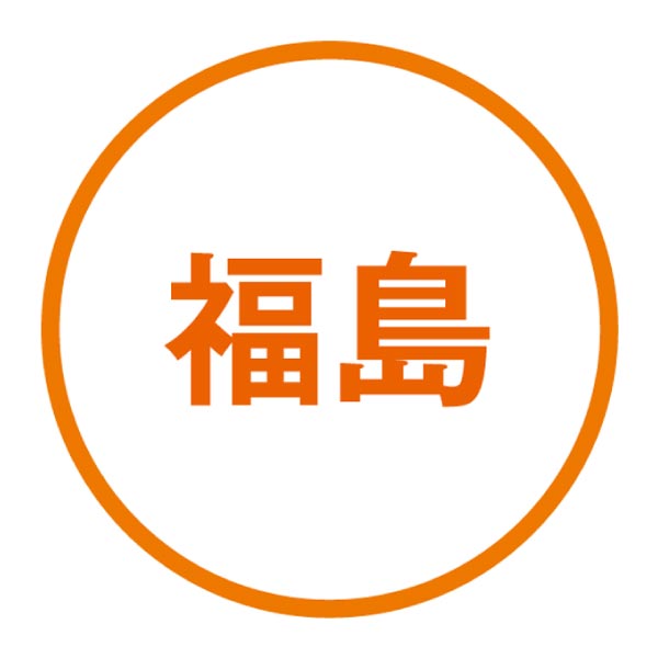 福島県産 サンふじりんご、あんぽ柿詰合せ (お届け期間：12/11〜12/31)【冬ギフト・お歳暮】　商品画像4