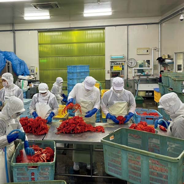 キョクイチフーズ 北海道産 3種のかに食べくらべ【冬の贈りもの・お歳暮】　商品画像4