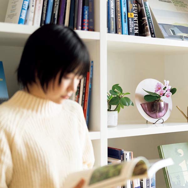 ranto 胡蝶蘭 HALO(お届け期間：7/1〜8/15)【夏の贈りもの・お中元】　商品画像4