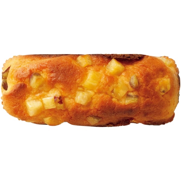 アサミグリーンプランツ カーネーションの寄せ植え(SUSTEE付)＋東京堂 芋パウンドケーキ【母の日】　商品画像4