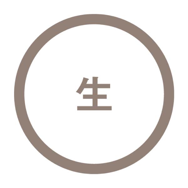 鹿児島県産 種子島 夢百姓安納芋小粒3kg(自宅用)(お届け期間：11/11〜12/31)【冬の贈りもの・お歳暮】　商品画像4