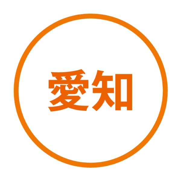 愛知県産(JA愛知みなみ) 愛知みなみハウスみかん(お届け期間：7/7〜7/25)【夏の贈りもの・お中元】　商品画像4