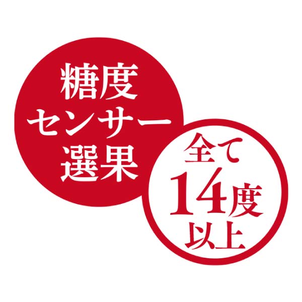 青森県産 高糖度サンふじりんごと王林(お届け期間:12/5〜12/31)【冬の贈りもの・お歳暮】 商品画像4