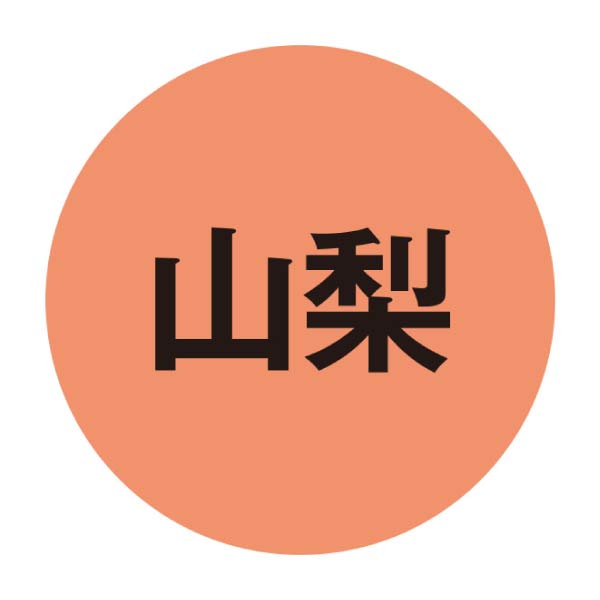 有川商事 冷しほうとうとつゆの詰合せ【夏の贈りもの・お中元】[HH30]　商品画像4