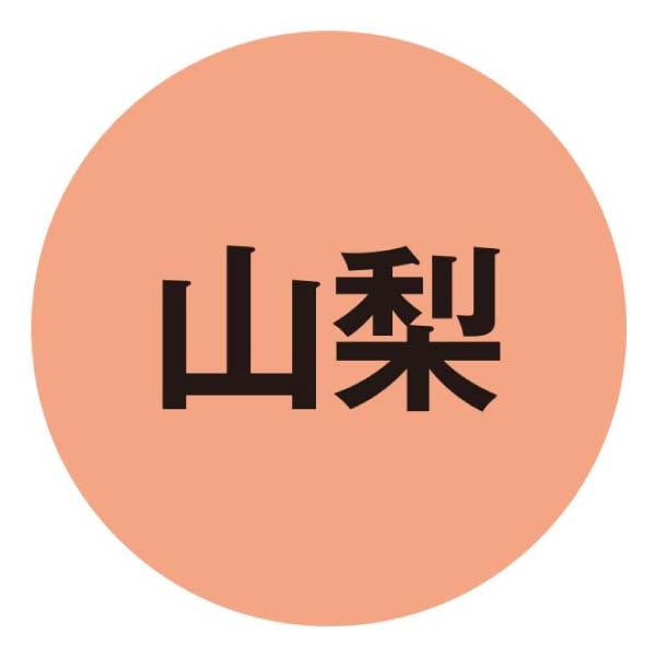 有川商事 国産小麦の生ほうとう【冬の贈りもの・お歳暮】[NH-02]　商品画像4