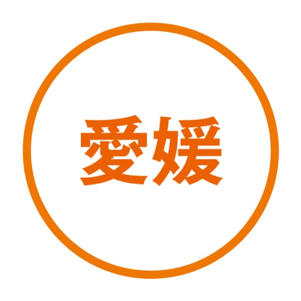 五色そうめん 手延べ五色そうめん【夏の贈りもの・お中元】[GO-M]　商品画像4