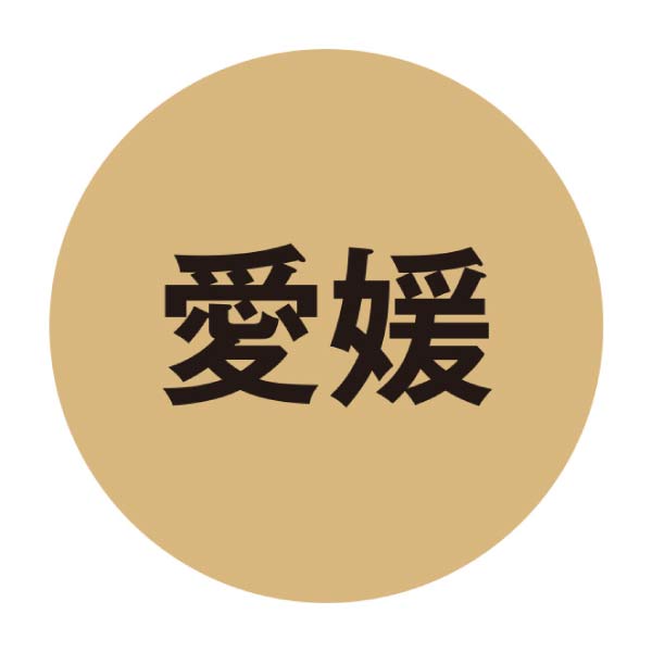 五色そうめん 手延べ五色そうめん【夏の贈りもの・お中元】[GO-L]　商品画像4