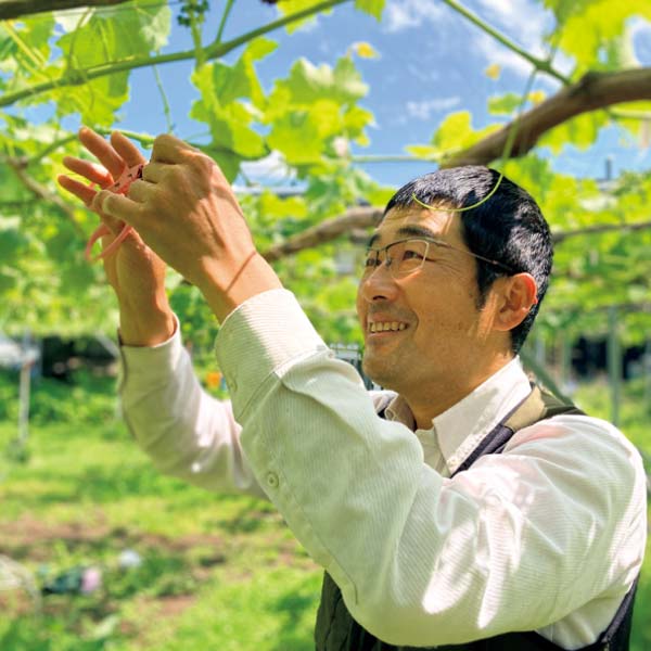 長野県産 2色ぶどう詰合せ(お届け期間:11/11〜12/31)【冬の贈りもの・お歳暮】 商品画像4