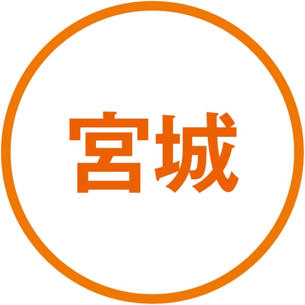 佐藤清治製麺 白石温麺詰合せ【冬の贈りもの・お歳暮】[DT-30]　商品画像4