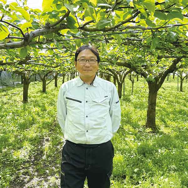 栃木県産 大田原市湯津上地区 江崎哲治さんちのあきづき梨(4L・5kg・12玉)【限定:30点】【お届け期間:9月6日〜9月30日】【KN】　商品画像2