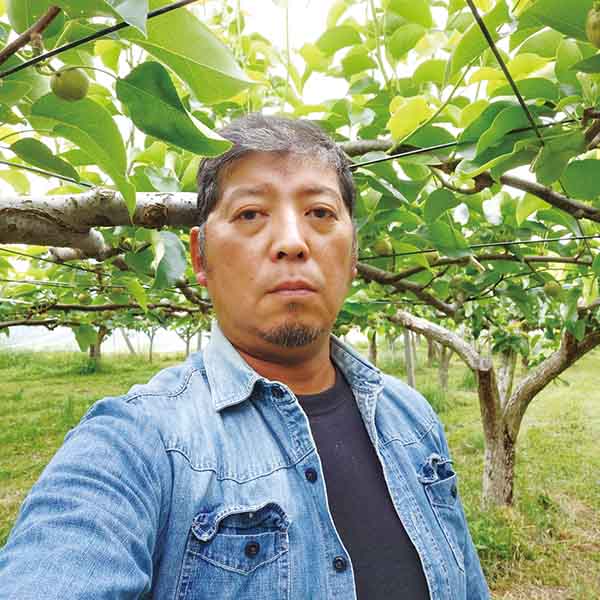 埼玉県産 上里町地区 川田さんの幸水梨(4L〜5L・2.8kg・7〜6玉)【限定:40点】【お届け期間:8月16日〜8月28日】【KN】　商品画像2