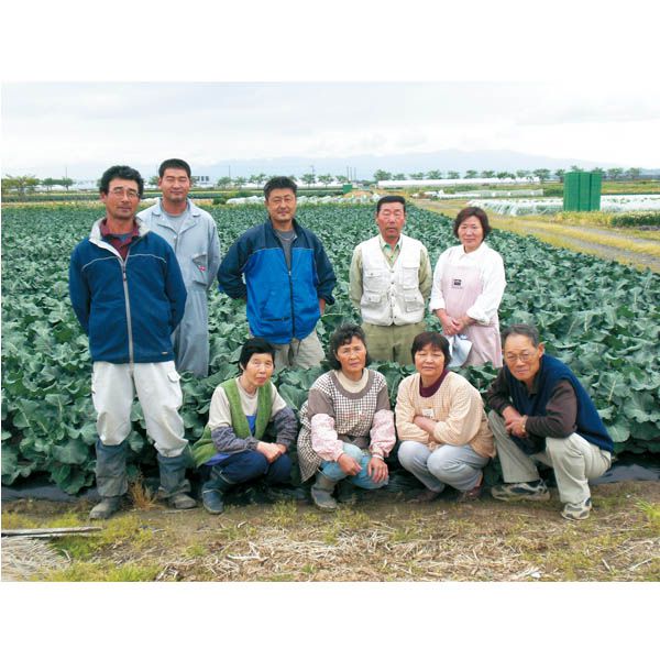 新潟県産(旧白根地区) こだわりの一品みどり会の枝豆(茶豆)(1.6kg以上)【お届け期間:7月28日〜8月30日】【KN】　商品画像4