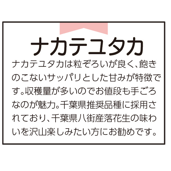 千葉県八街市産 節分 落花生ギフトB(千葉半立種100g×1・Qなっつ100g×2・ナカテユタカ種100g×1)【お届け期間:1月30〜2月3日】【MK】　商品画像3