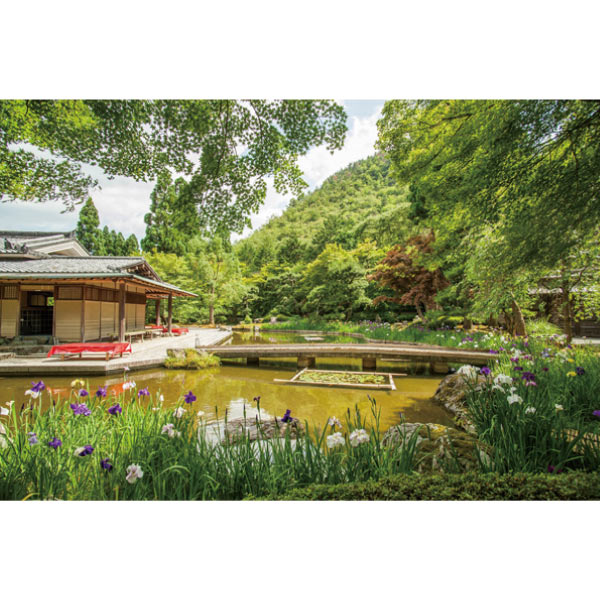 京都しょうざん 和の個食おせち＆オードブル二段三重【2人前・46品目】【イオンのおせち】　商品画像4