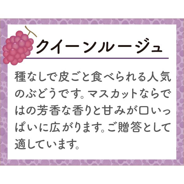 長野県産 クイーンルージュ1房(550g)【限定30箱】【お届け期間：9月5日(木)〜9月30日(月)】【ふるさとの味・南関東】　商品画像4