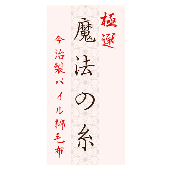 今治タオル 極選 魔法の糸今治製パイル綿毛布2P [AI-20027]【年間ギフト】　商品画像4