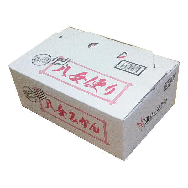 福岡県産(JAふくおか八女) みかん 3kg センサー選果 サイズおまかせ L〜2S【限定1000点】【お届け期間:11月16日〜12月15日】【ブラックフライデー】 商品画像4