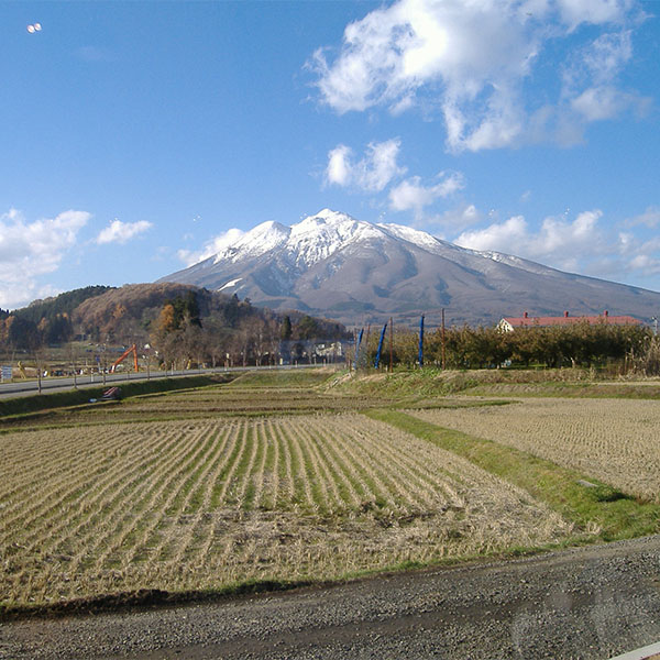 青森県産 りんご サンふじ 9個 大玉２Lサイズ 糖度13度選果【限定100点】【お届け期間：1月15日〜1月31日】【初売り】　商品画像4