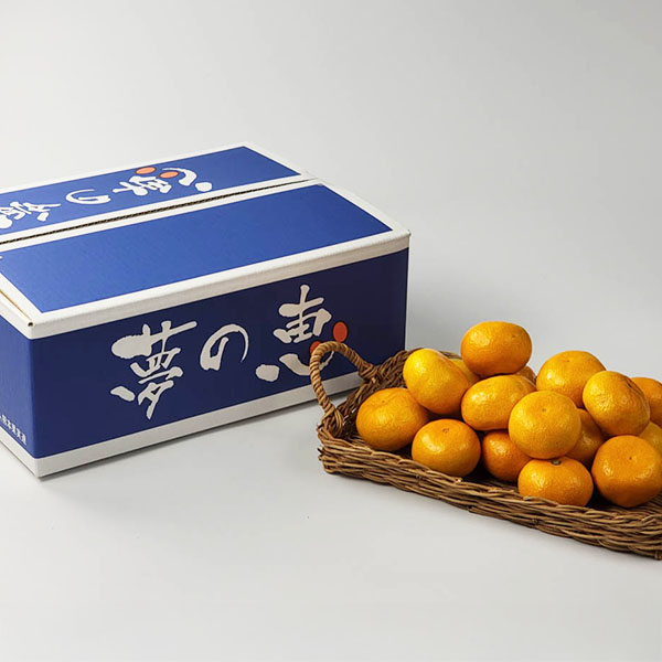 熊本県産 夢未来みかん 夢の恵 4kg【お届け期間:1月7日〜1月31日】【おいしいお取り寄せ】 商品画像4