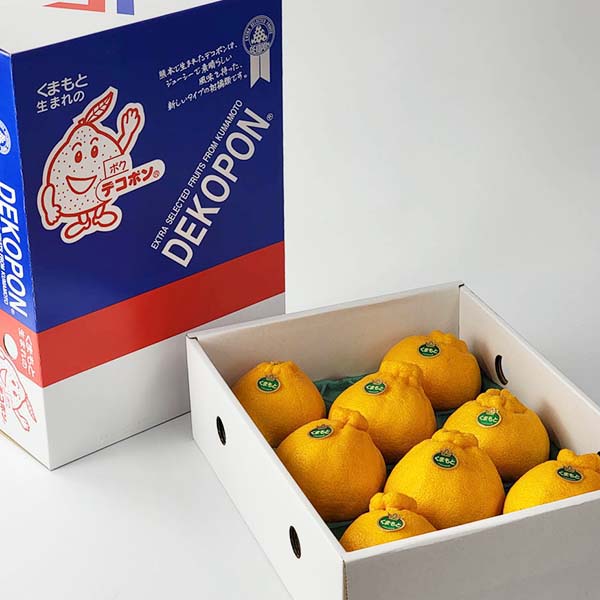 熊本県産 デコポン 3kg【お届け期間:2月1日〜2月28日】【イオンゴールドカード会員さま限定特別セール1月】 商品画像4