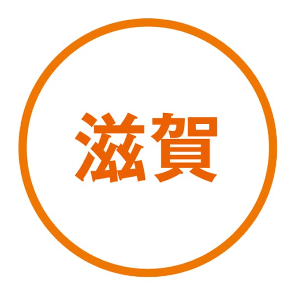 滋賀県 菓匠禄兵衛 福みたらし10個 【滋賀県産米粉使用】【滋賀・木之本の老舗醤油屋のダイコウ醤油使用】【ふるさとの味・近畿】　商品画像4