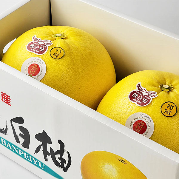 熊本県産 晩白柚 2玉【お届け期間:2月1日〜2月28日】【イオンゴールドカード会員さま限定特別セール1月】 商品画像4