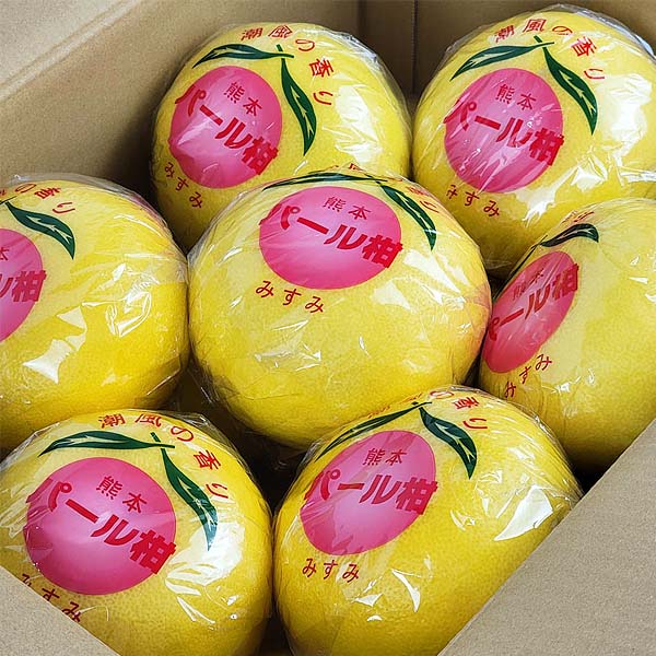 熊本県産 パール柑 12〜18玉【お届け期間：2月1日〜2月28日】【イオンゴールドカード会員さま限定特別セール1月】　商品画像4