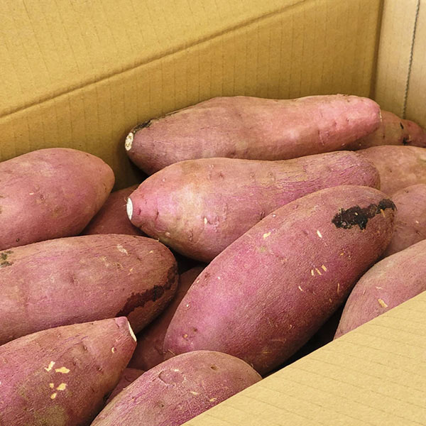 熊本県産 紅はるか 5kg【お届け期間：2月14日〜2月28日】【九州フェア】　商品画像4