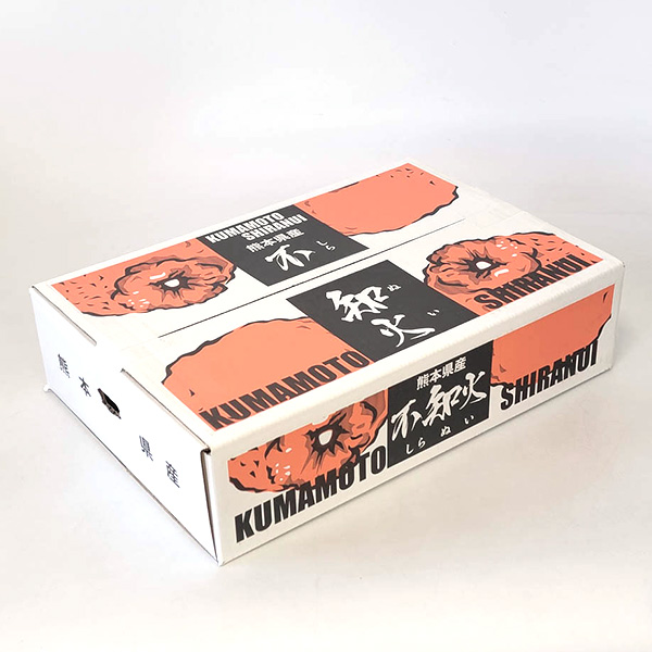 熊本県産 不知火 4kg 12〜22玉【お届け期間:3月1日〜3月25日】【イオンゴールドカード会員さま限定特別セール2月】 商品画像4