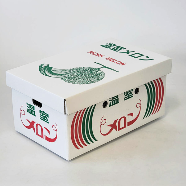 熊本県産 アールスメロン 2玉【お届け期間:3月1日〜3月25日】【イオンゴールドカード会員さま限定特別セール2月】 商品画像4