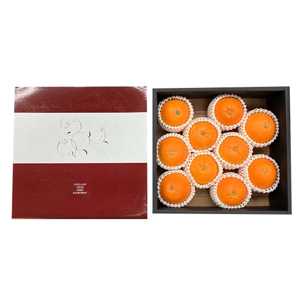 愛媛県産(JAえひめ中央中島選果場)デリッシュネーブル 2.5kg 2L〜4L(10玉ー6玉)【お届け期間：3月1日〜3月15日】【イオンゴールドカード会員さま限定特別セール2月】　商品画像4