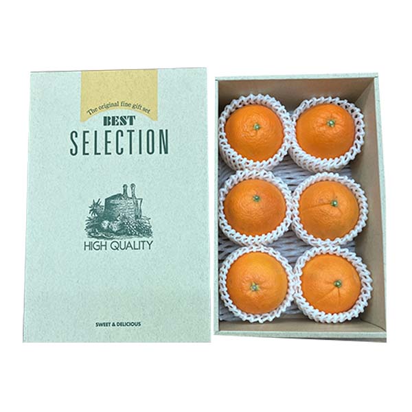 愛媛県産(JAえひめ中央中島選果場)デリッシュネーブル 1.5kg 2L〜4L(6玉ー4玉)【お届け期間:3月1日〜3月15日】【イオンゴールドカード会員さま限定特別セール2月】 商品画像4