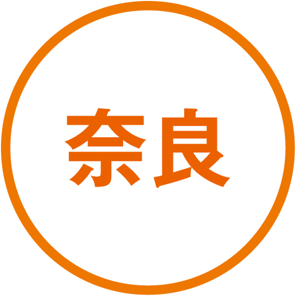 奈良 シェルブルー ステーキ屋さんの牛生ハンバーグ 若草 ハンバーグ150g×4、ソース180g【NN】　商品画像3