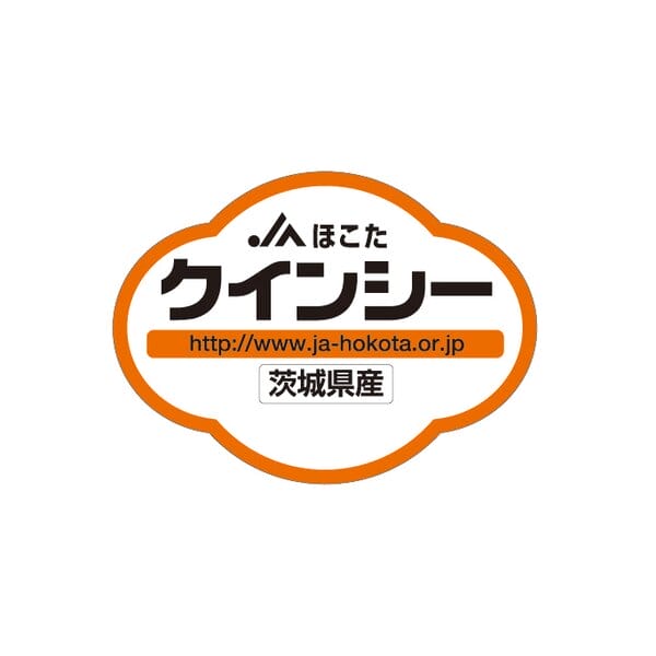 茨城県 JAほこた クインシーメロン 3Lサイズ3玉入【お届け期間:5月11日〜6月30日】【KN】　商品画像3